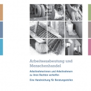 thumbnail of DIM handreichung_arbeitsausbeutung_und_menschenhandel