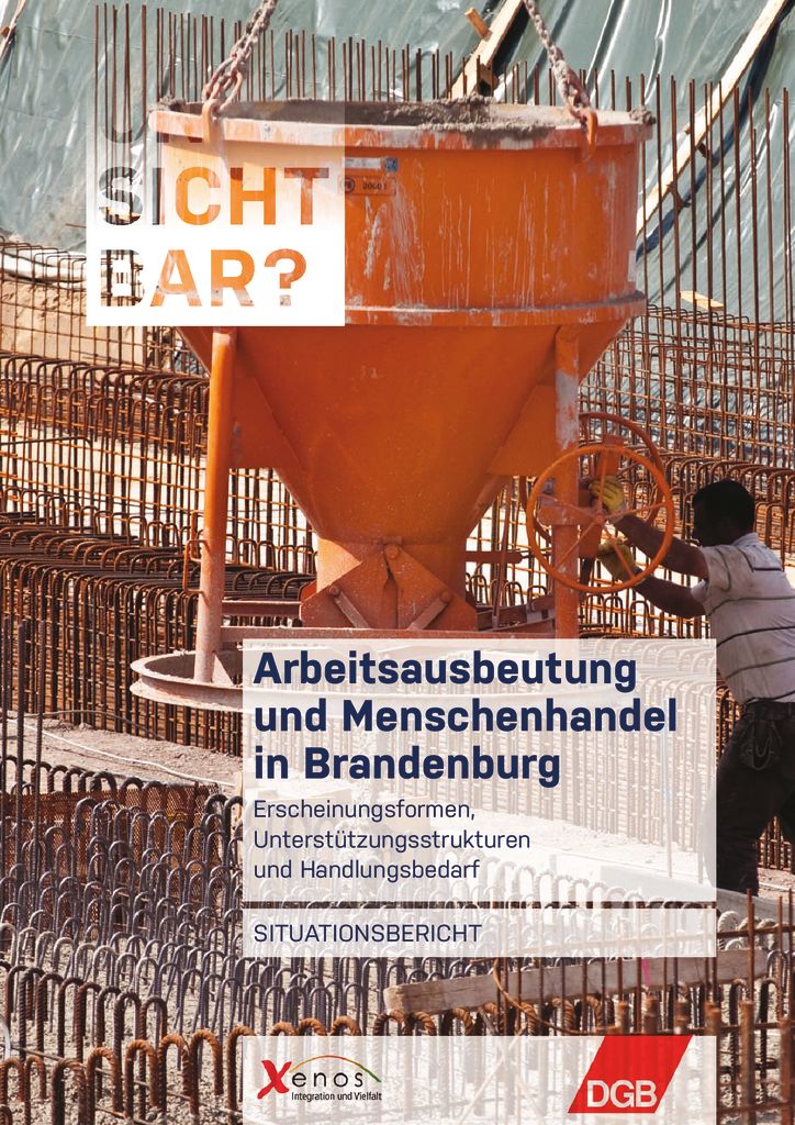 thumbnail of situationsbericht_brandenburg_2013