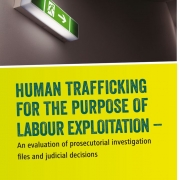thumbnail of FES Human trafficking for the purpose of labour exploitation – An evaluation of prosecutorial investigation files and judicial decisions (2015)